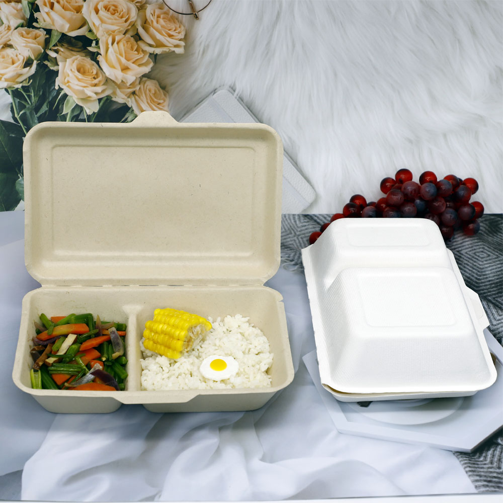 Sugarcane Takeaway Take Out Fast Food Packaging Box Food Containers Biodegradable Packaging