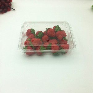 Living Room Plastic Containers Fruit Plates Minimalist Art Serving Tray 300g