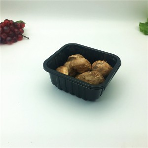 Plated Coated Food Grade Plastic Product PET Fruit Tray