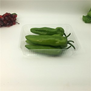 Food Grade Plastic Rectangle Plate Tray for fruit and vegetables