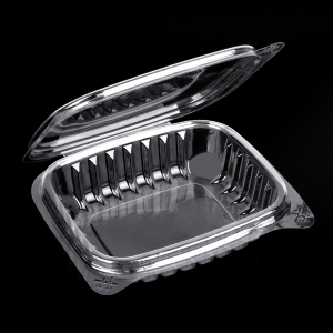 Clear plastic PET salad food container box