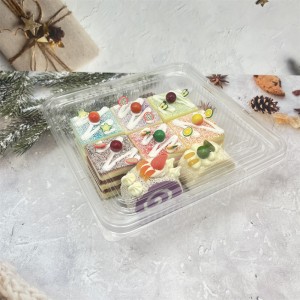 plastic blister PET clear cake containers with lids