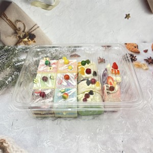 Disposable plastic PET clear cake container box