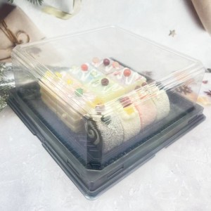 Disposable plastic square blister cake container box