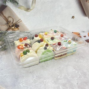 wholesale disposable plastic food packaging boxes for cakes