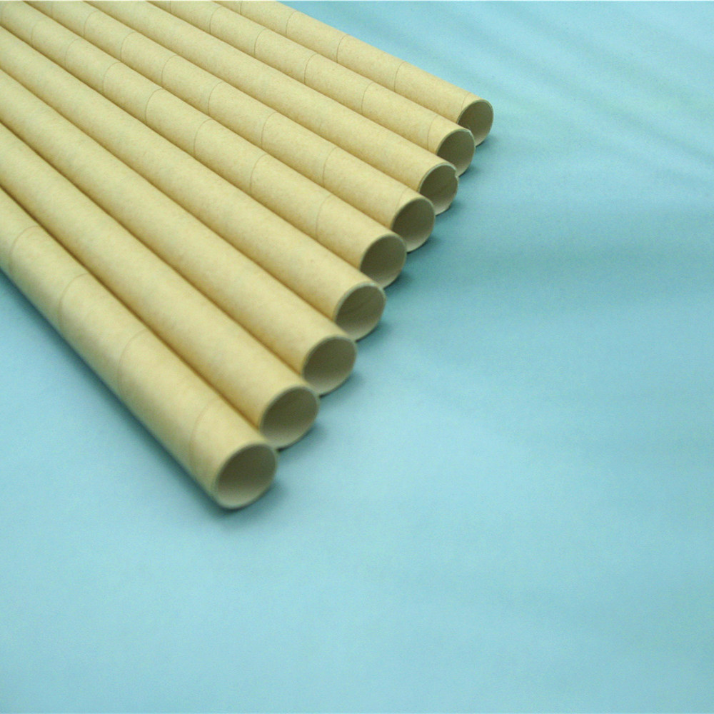 Disposable Compostable Paper Straw