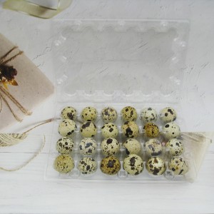 Manufacture Clear Disposable Plastic Quail Egg Tray