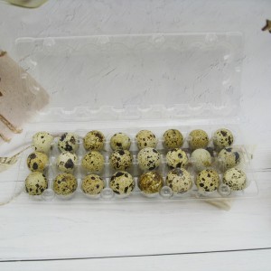 Manufacture Clear Disposable Plastic Quail Egg Tray 24holes