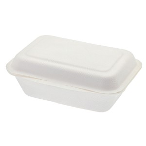 Disposable Sugarcane Tableware biodegradable food container box