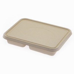 Biodegradable Sugarcane 3/4 Compartment Disposable Bagasse Food Container with lid