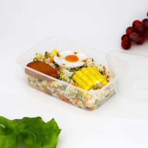Rectangle Disposable Clear microwave PP food container