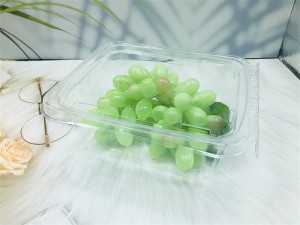 High Quality Disposable Food Grade Blister Tamper-proof  Plastic Clamshell for grapes