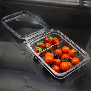 Single use Tamper-evident  Double lattice plastic clamshell for fruit
