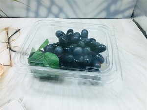 Large supply Tamper-proof  plastic clamshell for grapes