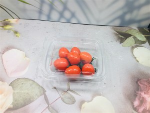 Supply Plastic Compartments Clamshell Packing Foldable fruit Tray with Lid