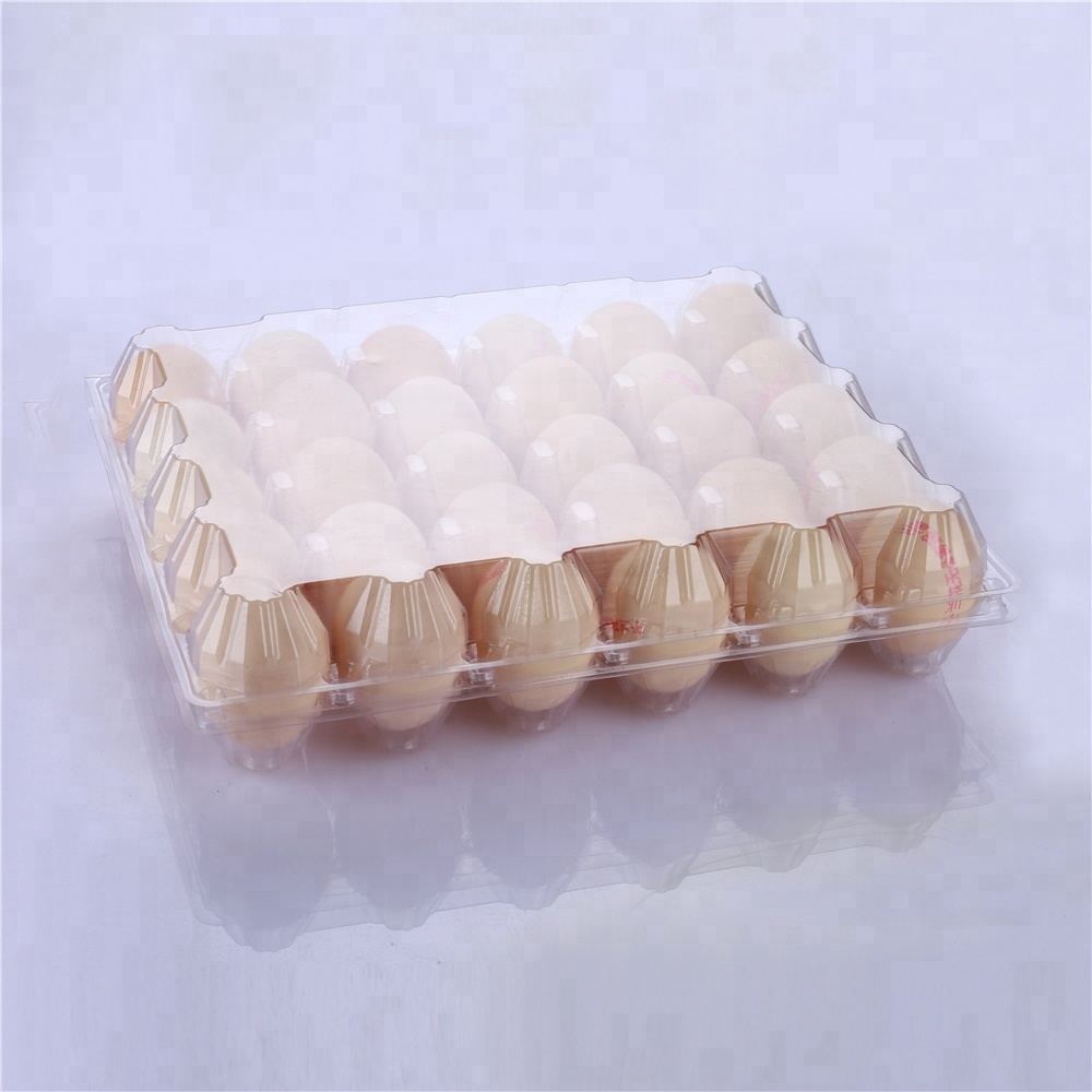 Factory selling Egg Basket For Fridge - Disposable PET transparent plastic egg crate box with 30 cells – Globalink