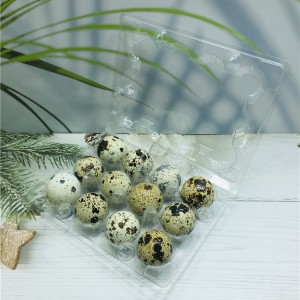 Manufacturing Companies for Eggs Packaging Box - Wholesale 12, 18, 30 Holes Plastic Quail Egg Carton  – Globalink