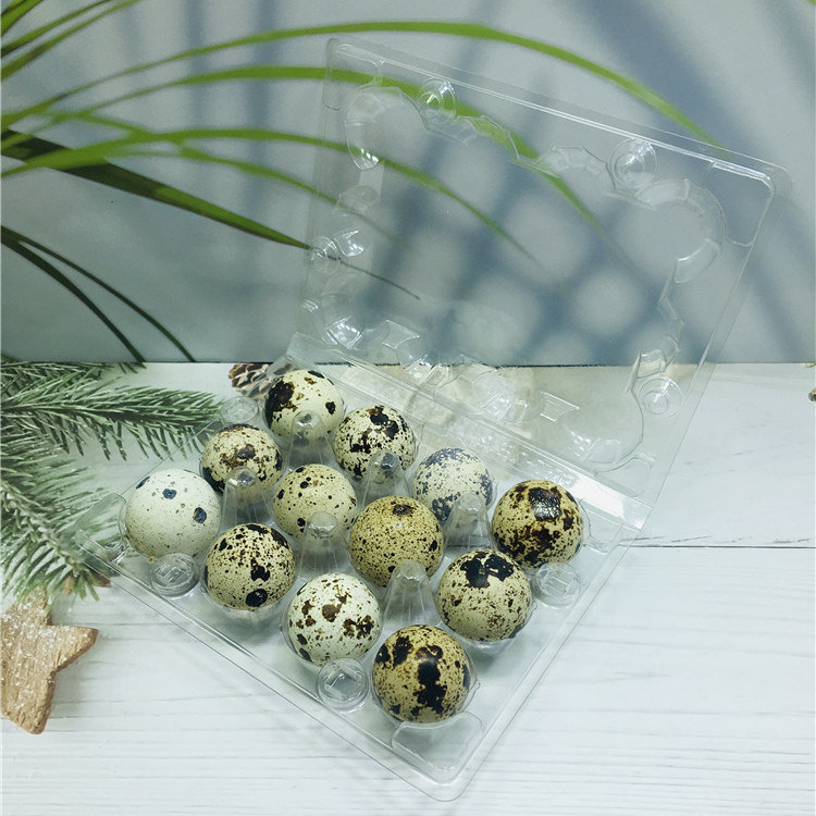 Factory For One Tray Egg - Blister Plastic Packaging Quail egg tray 12holes – Globalink