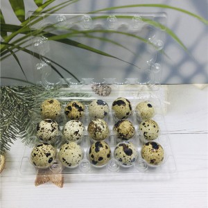 plastic PET clear 15 holes quail egg tray
