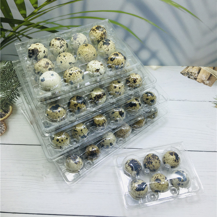 2021 Latest Design Stackable Deviled Egg Container - Disposable Plastic Quail Egg Tray 6/12/18 Holes – Globalink