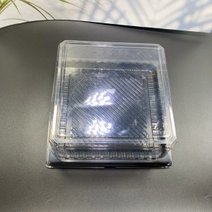Square plastic PET clear birthday cake container box