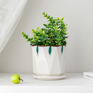 Stylish and Functional Ceramic Flower Pots for Indoor Planting