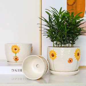 Flowerpot ceramic wholesale large personality flowerpot indoor desktop creative simple succulent flowerpot flower with tray