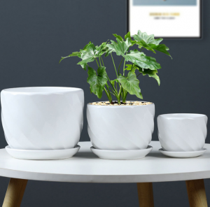 Flowerpot ceramic wholesale large simple Nordic ins white household desktop flowerpot custom