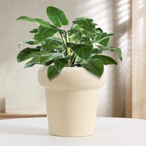 Home Gardening Simple Phalaenopsis Light Luxury Ceramic Flower Pot