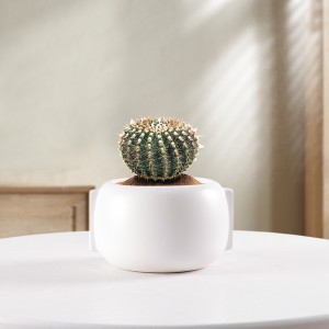 Nordic ງ່າຍດາຍແລະສ້າງສັນບານ ceramic potted ຜູ້ຜະລິດ flowerpot ຂະຫນາດນ້ອຍຂາຍສົ່ງ