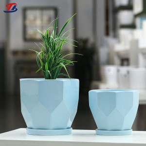 OEM Decoration Flower Pot For Succulent Livingroom