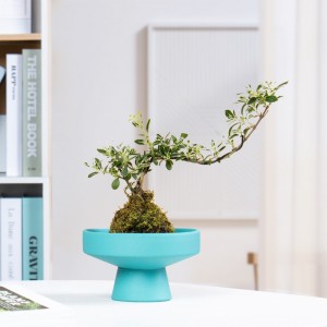 Ceramic Flower Pot Non-porous Hydroponic Flower Pot Stylish Simple Craft