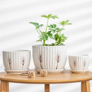 Ipataas ang Imong Hardin gamit ang Stylish Ceramic Flowerpots ug Planters