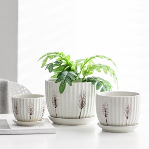 Elevate Your Garden with Stylish Ceramic Flowerpots and Planters