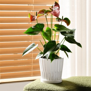 Klein binnenshuise keramiekplantpot Moderne blompotte met dreineringsgate
