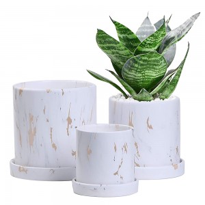 多肉植物用のユニークな大理石の植木鉢 |クリエイティブセラミックプランター