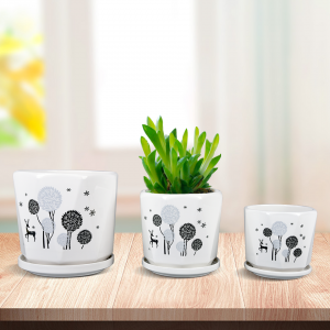 Wholesale High Quality Bulk Small Ceramic Flower Pot Succulent Pot Planter yokhala ndi Saucer ya Drainage Hole