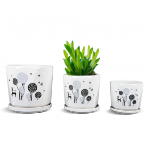 Wholesale High Quality Bulk Small Ceramic Flower Pot Succulent Pot Planter with Drainage Hole Saucer