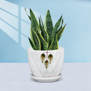 OEM Factory corporate activities Cheap features designed interior flowerpots ceramic flowerpots