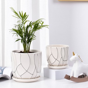 Inexpensive white indoor small modern POTS ceramic succulent POTS