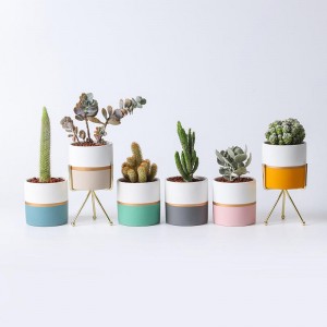 Hot Sale by OEM 2022 Cylindrical ceramic succulent Planter with metal holder