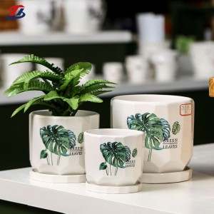 Maceta de cerámica grande y moderna, redonda, blanca, para interior, plantas suculentas de cactus, 3 piezas