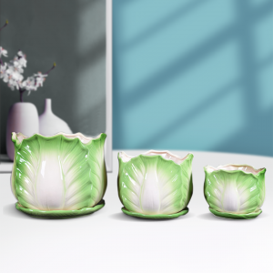 Nordic Style Cheap Ceramic Flowerpot Stand Garden Flower Pot Hand Painting Ceramic Succulent Planter with Sauce