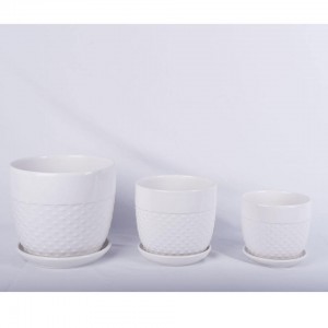 Set de 3 macetas de cerámica cilíndricas en maceta blanca moderna para interiores para decoración del hogar