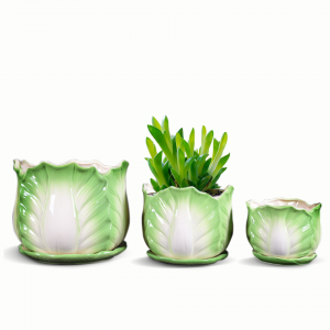 Nordic Style Cheap Ceramic Flowerpot Stand Garden Flower Pot Hand Painting Ceramic Succulent Planter with Sauce
