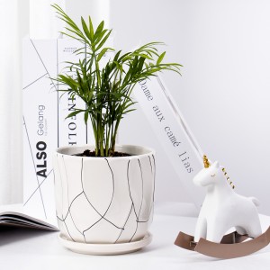 Nuwe Wit binnenshuise Moderne vetplant Plantpotte keramiek Blompot Stel van 3