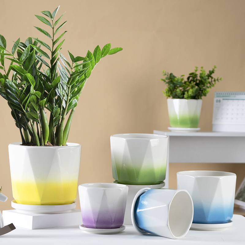 Top Suppliers Mini Planters - Cheap Cactus Succulent Outdoor Flower Pots Garden Bonsai Diamond Ceramic Plant Pots – Tongxin