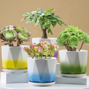 Macetas de cerámica para plantas al aire libre, suculentas de cactus, con diamantes de bonsái para jardín