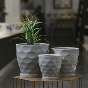 Succulent Indoor Plant Sale Ceramic Flower Pot