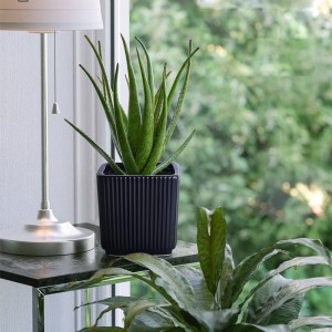 customize Modern stripe Flower pot succulent Garden Small Indoor white ceramic Plant Pots